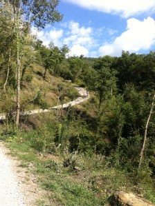 Clint climbs the lonely road